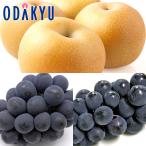 ぶどう お買得♪ 旬の梨と種なしピオーネ & 種なし巨峰 約1.8kg 秀 |7-12日程度でのお届け※沖縄・離島へは届不可(直)