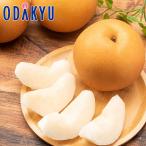 なし 大玉! 栃木県産 にっこり梨 約2.4kg 秀 |7-12日程度でのお届け※沖縄・離島へは届不可(直)