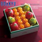  Рождество 2025 [ Shinjuku Kouya ] Рождество .. Trio l12 месяц 21 день ~12 месяц 25 день. .... последовательный доставка * Okinawa * отдаленный остров .. . не возможно (X)