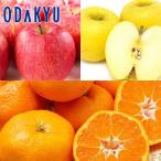  лотерейный мешок 2026 фрукты мандарин .. белый яблоко. три . комплект l2026 год 1 месяц 8 день после последовательный доставка * Okinawa * отдаленный остров .. . не возможно (h)