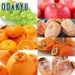  лотерейный мешок 2026 фрукты .. прекрасный. фрукты семь божеств удачи l2026 год 1 месяц 8 день после последовательный доставка * Okinawa * отдаленный остров .. . не возможно (h)