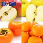  фрукты комплект .. яблоко * хурма * мандарин еда . сравнение комплект примерно 3.5kg превосходящий l7-12 день на уровне. доставка * Okinawa * отдаленный остров .. . не возможно ( прямой )