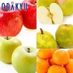  фрукты комплект Aomori яблоко 3 вид .la* Франция &amp;.. мандарин примерно 3.1kg превосходящий l11 месяц средний . после. доставка * Okinawa * отдаленный остров .. . не возможно ( прямой )