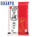 お米 新米 令和 7年産 送料無料 堀商店 無洗米 新潟新之助 5kg ｜7-10日程度でのお届け※沖縄・離島へは届不可(直)