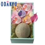  День матери 2026 Shinjuku Kouya День матери дыня &amp; десерт l5/8-5/10. .... доставка * Okinawa * отдаленный остров .. . не возможно (MD)