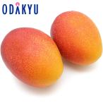  бесплатная доставка Miyazaki префектура производство .. манго 2L 2 шар .. синий превосходящий и больше l3 месяц последняя декада после. доставка * Okinawa * отдаленный остров .. . не возможно ( прямой )