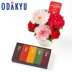 母の日 花 2026 生花A &am