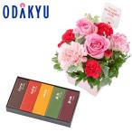 母の日 花 2026 生花B &am