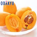 biwa бесплатная доставка 3L размер и больше Nagasaki префектура производство .. локва крупный локва превосходящий примерно 0.9kg |4 месяц средний . после. доставка * Okinawa * отдаленный остров .. . не возможно ( прямой )