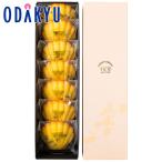  подарок кондитерские изделия [ Kyouhashi тысяч . магазин ] Madeleine Curren tsu7 штук l примерно 3-10 день .. доставка * Okinawa * отдаленный остров .. . не возможно (C)