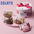 バレンタイン 2026 ヴィタメール マカダミア ・ ショコラ ・ アソート L ｜指定日届※沖縄・離島へは届不可(VD)