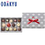 ショッピングクール バレンタイン 2026 ビアンクール リエルボヌール プチフルール 14個入 ｜指定日届※沖縄・離島へは届不可(VD)