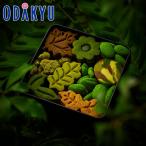 ショッピングクッキー バレンタイン 2026 冷蔵 ツリーズ キョウト ボタニカルクッキー缶 ｜指定日届※沖縄・離島へは届不可(VD)