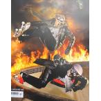 THE SKATEBOARD MAG ( скейтборд журнал, журнал ) DEC 2015 ISSUE 141