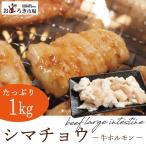 焼肉 バーベキュー BBQ もつ鍋 てっちゃん シマ腸 メガ盛り１ｋｇ 真空パック 200g×5パック
