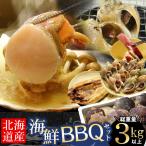 [ полная масса 3kg и больше ] Hokkaido производство морепродукты BBQ барбекю комплект ( гребешок . синий цубугаи ... кальмар ). жарение tsub кальмар подарок . жарение . жарение кемпинг GW подарок на Bon Festival ..
