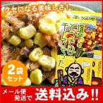 「メール便　送料無料」塩辛ととうきび、干しちゃった　20g×2袋セット（代引不可・着日指定不可・同梱不可）（塩辛・とうもろこし乾燥品）