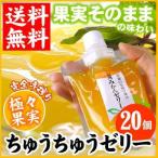 極々果実 ちゅうちゅうゼリー 20個セット 送料無料 ゼリー お取り寄せ 贈り物 食べ物 ギフト 愛媛みかん 田那部青果