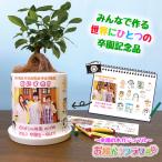 1点からご注文可能！［受け皿付き］卒園記念品 写真入り 先生 プレゼント ガジュマル 観葉植物 名入れ ギフト フラワーギフト 送料無料 幼稚園　お絵かき水筒