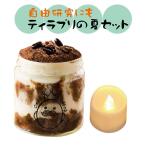 amazonギフト券3000円当たる☆夏ティラプリ 5個セット【冷凍】【夏休み、自由研究、贈答用、御中元、お歳暮、ギフト、プレゼント、お祝い、うっふぷりん】