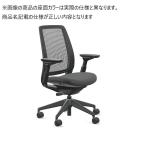 Steelcase スチールケース / Series2（シリーズ2） / プラスチックエアバック仕様 / 可動肘 / ブラックフレーム / 張地：Otto , Omni-R
