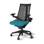 ITOKI イトーキ /ACT（アクト）／エラストマーバック／樹脂脚／可動肘／座：PS張地／ランバー有り／ハンガー有り／ベースカラー：ブラック／SC