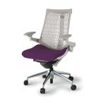 ITOKI イトーキ /ACT（アクト）／エラストマーバック／アルミミラー脚／可動肘／座：PS張地／ランバー・ハンガー無／ベースカラー：ライトグレー／SC