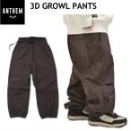 * 24-25 ANTHEM 3D GROWL PNT DARK BROWN AN2437 Anne sem сноуборд сноуборд одежда спорт Mix брюки PANT