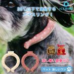 ショッピングsuo クールリング ICE RING アイスリング ペット 犬 suo 公式 スオ アイス ネックバンド ice ネッククーラー アイスネック 首 冷却 首掛け お散歩 散歩 暑さ対策