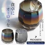 PROGRESS Vertex グラスタンブラー 340ml Infinite Silver プレゼント ギフト チタン お酒 グラス 日本製 プログレス レックス  名入れ 母の日 父の日 誕生日