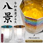 PROGRESS 八景 Hakkei 光彩 極光 白銀 結霜ガラス 300ml グラス ギフト チタン プレゼント 硝子 日本製 焼酎 グラス プログレス 母の日 父の日 誕生日