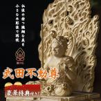 極小仏 武田不動尊 豪華特典付き 仏像 木彫 精密 精巧 リアル 手のひらサイズ 極小仏像 木彫仏像 木彫の仏像 木彫像 木彫り像 木彫りアート 縁起物