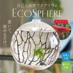 EcoSPHERE エコスフェア エコスフィア 自己完結型アクアリウム エビ水槽 エビ飼育 ハワイ原産のエビ オパエウラ ホロホロシュリンプ ピクシーシュリンプ