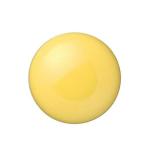 カラーマグネット　20mm黄　10個　B161J-Y　ジョインテックス