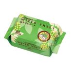 おそうじシート　ドライ30枚入　N031J　ジョインテックス