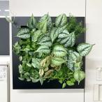  искусственная зелень настенный магнитный б/у 