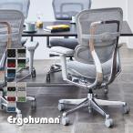 エルゴヒューマン プロ2 Ergohuman PRO2 ロータイプ 高機能 メッシュチェア オフィスチェア デスクチェア 在宅ワーク 椅子 独立ランバーサポート EHP2-LAM