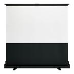 FSR-100V проектор экран FSR серии 100 широкий type 2154×1346mm пол модель пол класть тип Dub Lupin ta graph тип кейс в одном корпусе плюс (PLUS)