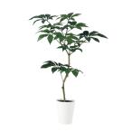 ツピダンサス FST　W90 × D80 × H150cm　フェイクグリーン 人工観葉植物 移転祝い