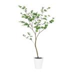 光触媒 ドウダンツツジ FST　幅70 × 奥行65 × 高さ130cm　フェイクグリーン オフィスグリーン 観葉植物 フェイク 人工観葉植物 大型 移転祝い 開店祝い