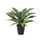 オオタニワタリ　幅70 × 奥行70 × 高さ50cm　フェイクグリーン オフィスグリーン 観葉植物 フェイク 人工観葉植物 大型 移転祝い 開店祝い 開業祝い