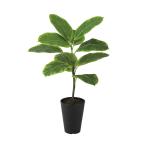 光触媒 アルテシマ ルーツポット　幅35 × 奥行35 × 高さ55cm　フェイクグリーン オフィスグリーン 観葉植物 フェイク 人工観葉植物 大型 移転祝い