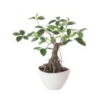 光触媒 ガジュマル ボウル　幅45 × 奥行45 × 高さ50cm　フェイクグリーン オフィスグリーン 観葉植物 フェイク 人工観葉植物 大型 移転祝い 開店祝い