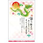 全328柄 2024年度版 辰年 年賀状印刷 100枚 フルカラー年賀状 郵政お年玉付き年賀はがき(官製年賀葉書) 25019pc_100 8307895