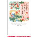 全328柄 2024年度版 辰年 年賀状印刷 60枚 フルカラー年賀状 郵政お年玉付き年賀はがき(官製年賀葉書) 25202pc_60 8307893