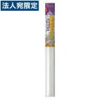 ニトムズ 窓ガラス粘着断熱シートフォーム 水貼りN 90×180cm E1531