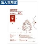 ポリ袋 大 40枚 台所用 0.02mm厚