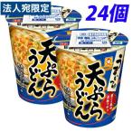 マルちゃん うまいつゆ 天ぷらうどん 68g×24個