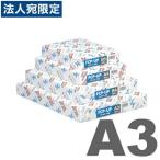 フルカラー FCP-UPII A3サイズ 500枚