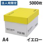 カラーコピー用紙 イエロー A4 5000枚 用紙 OA用紙 印刷用紙 無地『送料無料（一部地域除く）』